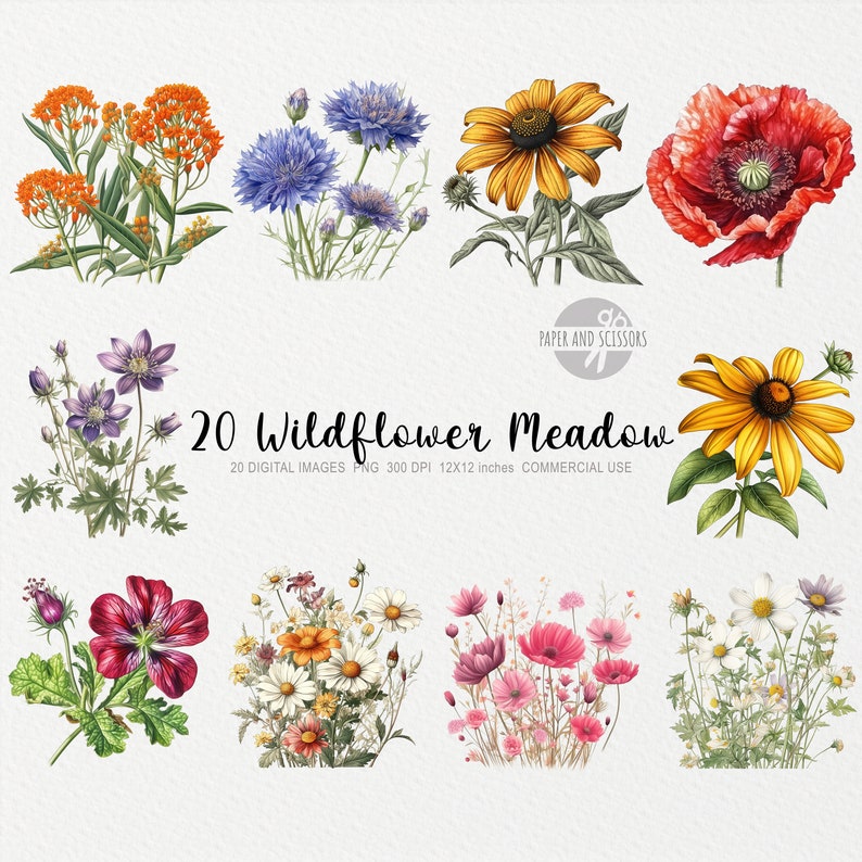 May include: A set of 20 digital images featuring watercolor illustrations of various wildflowers, including blue cornflowers, yellow black-eyed susans, red poppies, and white daisies. The images are 12x12 inches and 300 DPI.
