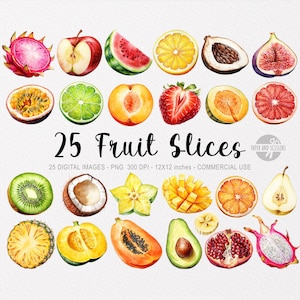 25 Rebanadas de Frutas ClipArt, Fruta PNG, Ilustración de frutas, Frutas de acuarela, Paquete de alimentos, Descarga instantánea de alta calidad, Mezcla de frutas, Tropical