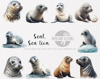 Seal and Sea Lion Clipart, Seal and Sea Lion PNG, Seal and Sea Lion illustration, Ocean Animals, Nursery Wall Art, Printable wall art, 12x12