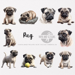 Pug clipart, Pug PNG, Pug illustratie, hond clipart, hond PNG, hond aquarel, hond kunst aan de muur, hondenliefhebber, dierlijke clipart, dierlijke PNG, pug puppy