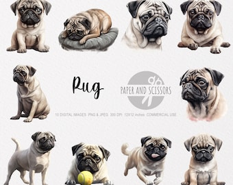 Pug Clipart, Pug PNG, Pug illustration, Dog Clipart, Dog PNG, Dog Watercolor, Dog Wall Art, Dog lover, Animal clipart, Animal PNG, Pug puppy