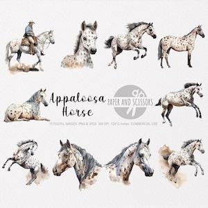 Appaloosa paard clipart, appaloosa paard PNG, paard illustratie, paard aquarel, paard kunst aan de muur, wand decor, paardenliefhebbers, dierlijke clipart