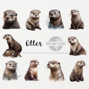 Clipart de loutre, loutre PNG, illustration de loutre, aquarelle de loutre, loutre Wall Art, Animal Wall Decor, Animal Clipart, animal de la forêt, Animal PNG