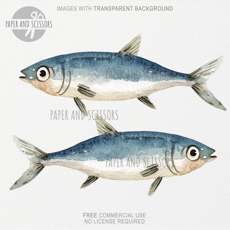 May include: Two watercolor illustrations of blue and silver fish with white bellies. The fish are facing right and have a slightly curved body shape.