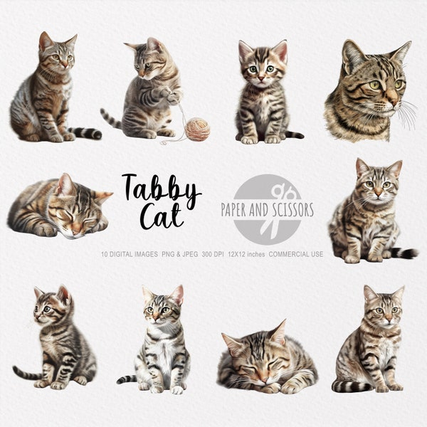 Tabby Cat Clipart, Tabby Cat PNG, Tabby Cat illustration, Cat Clipart, Cat PNG, Cat Watercolor, Cat Wall Art, Cat lover, Kitten PNG, Kittens