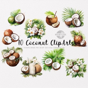 10 Coconut ClipArt, Coconut PNG, Ilustracja kokosa, Akwarela Coconutss, Egzotyczne owoce ClipArt, Kolekcja liści kokosa i palmy