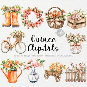 10 cliparts de coings, PNG de fleurs, illustration de printemps, impression bohème aquarelle, prairie fleurie du jardin, Pâques Cottagecore, coquette journal agrumes