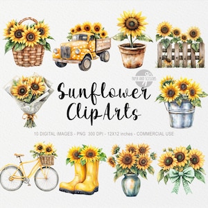 10 cliparts tournesol, fleur PNG, illustration de printemps, impression bohème aquarelle, prairie florale, jardin, Pâques Cottagecore, Coquette Journal