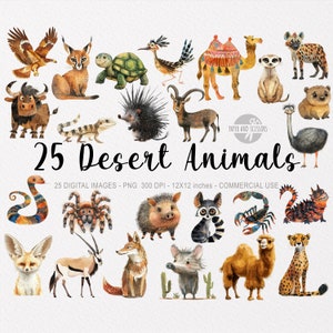 25 ClipArt di animali del deserto, PNG acquerello di savana, arte da parete per baby shower, arredamento per nursery, safari carino, adesivi, cammello, ghepardo, istantanea