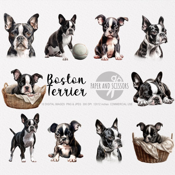 Boston Terrier Clipart, Boston Terrier PNG, Boston Terrier illustration, Dog Clipart, Dog PNG, Dog Watercolor, Dog Wall Art, Dog lover