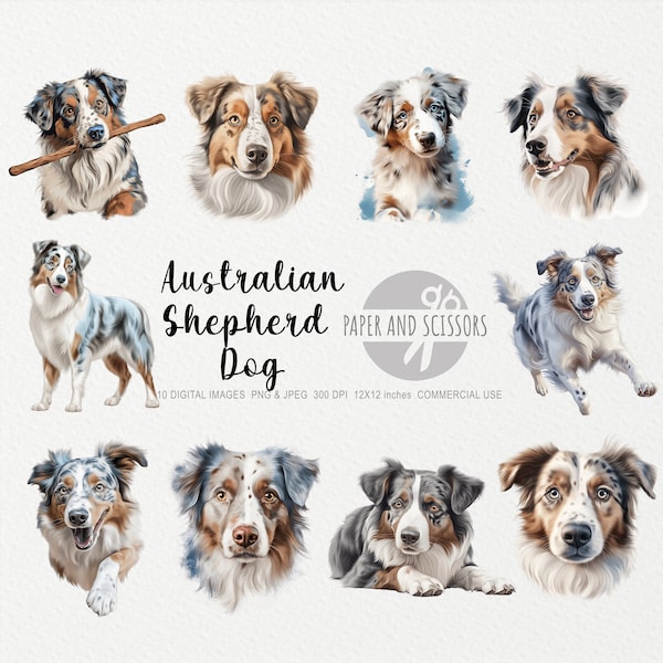 Australian Shepherd Dog Clipart, Aussie Dog PNG, Australian Dog illustration, Dog Clipart, Dog PNG, Dog Watercolor, Dog Wall Art, Dog lover