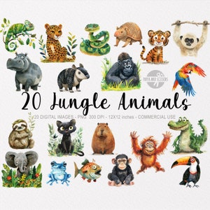 20 cliparts animaux de la jungle, PNG aquarelle de la faune, art mural pour baby shower, décoration de chambre d'enfant, jolie forêt tropicale, stickers, original, gorille, perroquet