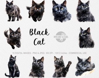Svart katt ClipArt, svart katt PNG, kattillustration, kattutklipp, kattunge ClipArt, akvarell katt, kattungeillustration, fluffig svart katt