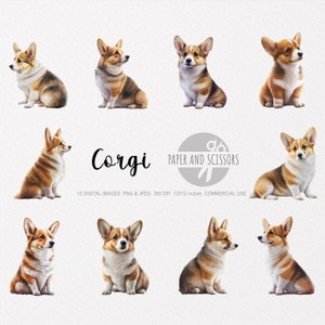 Corgis Hund Clipart, Corgis PNG, Corgis Illustration, Corgis Clipart, Hund, transparenter Hintergrund, Sofortiger download, digitale Kunst, Wandkunst, 12x12