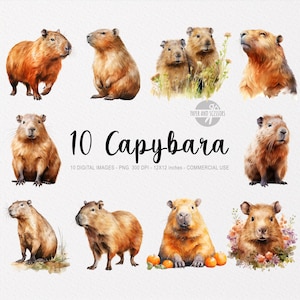 10 Capibara aquarel clipart, capibara PNG, capibara illustratie, aquarel dierlijke kunst aan de muur, bos dier, dierlijke clipart, jungle dier
