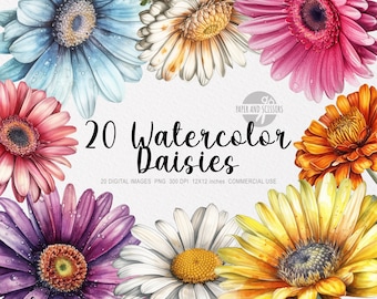20 Daisy ClipArt, Daisy NG, Daisies illustration, Watercolor Daisies, Floral PNG, Flowers ClipArt, Flowers PNG, Pink Roses, Red White Roses
