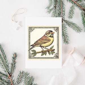 K&ouml;nnte beinhalten: Eine Illustration im Vintage-Stil eines braunen und gelben Vogels, der auf einem Zweig mit gr&uuml;nen Bl&auml;ttern sitzt. Die Illustration ist in einem dekorativen Rahmen mit cremefarbenem Hintergrund gerahmt.