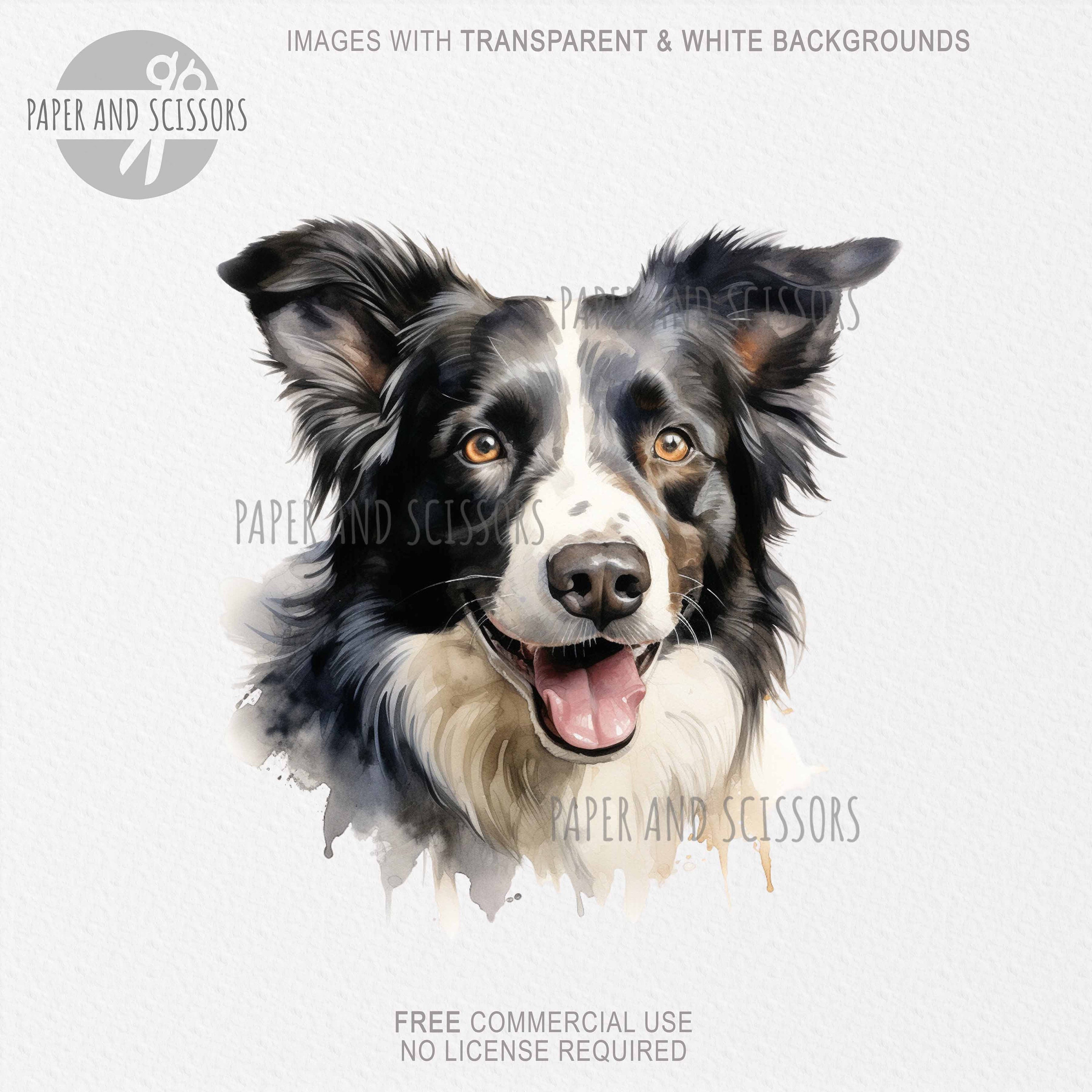 Border Collie Clipart, Border Collie PNG, Ilustración de Border Collie, Imágenes  Prediseñadas de perro, Fondo transparente, Descarga instantánea, Perro  acuarela - Etsy México, image size:3000x3000