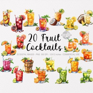 20 Fruchtcocktail ClipArt, Tropisch PNG, Cocktail Illustration, Aquarell Cocktail, Obst PNG, Exotisch, Essen PNG, Bar, Restaurant, Sommer