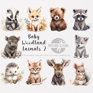 Baby Woodland Animals Clipart, Baby Woodland Animals PNG, Baby Animals illustration, Baby Animals Clipart, Nursery Wall Art, Nursery decor