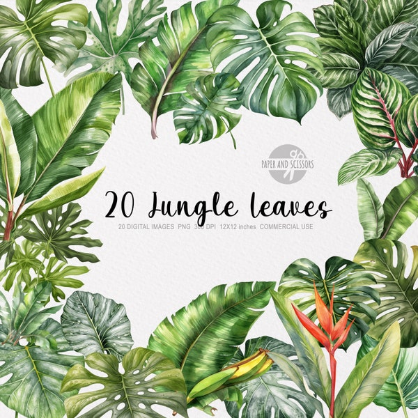 20 Watercolor Jungle Leaves ClipArt, Jungle Leaves PNG, Leaves illustration, Watercolor Leaf, Floral PNG, Jungle ClipArt, Monstera, Banana
