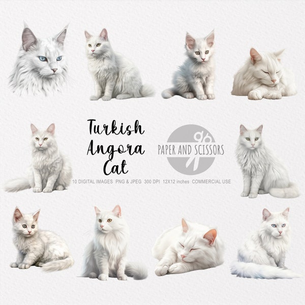 Turkish Angora Cat Clipart, Turkish Angora Cat PNG, Turkish Angora Cat illustration, Cat Clipart, Cat PNG, Cat Watercolor, Cat Wall Art, Cat