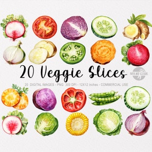 20 Vegetales ClipArt PNG, Ilustración de rebanadas de vegetales, Alimentos en acuarela imprimibles, Alimentos saludables, Libro de cocina, Tarjetas de menú, Descarga instantánea