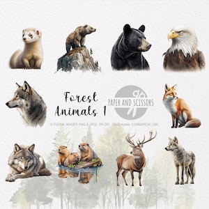 Clipart animaux de la forêt, animaux de la forêt PNG, illustration animaux, Clipart animaux, fond Transparent, téléchargement immédiat, Art mural, 12 x 12