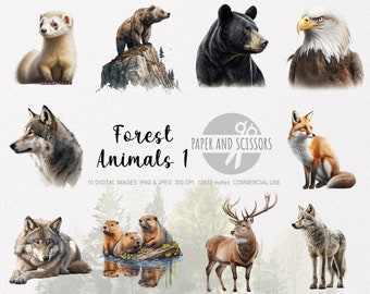 Forest Animals Clipart, Forest Animals PNG, Animals illustration, Animals Clipart, Transparent background, Instant download, Wall Art, 12x12