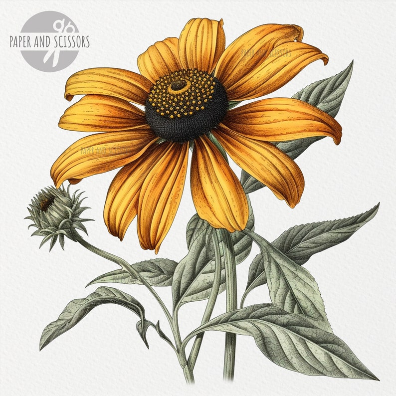 May include: A single yellow daisy with a dark brown center and green leaves. The flower is in full bloom and has a delicate, intricate design.