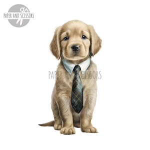 May include: A golden retriever puppy wearing a white collared shirt and a black and gold patterned tie. The puppy is sitting with its paws crossed and looking directly at the camera.