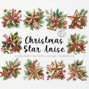 10 Weihnachtsstern Anis ClipArt, Weihnachten Zimt PNG, Aquarell Gewürze, Cranberry, Aquarell Gewürz, Weihnachtsvibes, Gemütliche Kunst, Nelken, Rustikal