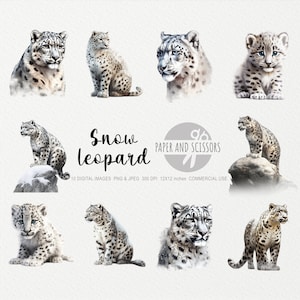 Clipart de léopard des neiges, léopard des neiges PNG, illustration de léopard des neiges, Clipart de chat sauvage, fond Transparent, Clipart Animal, Art mural 12 x 12