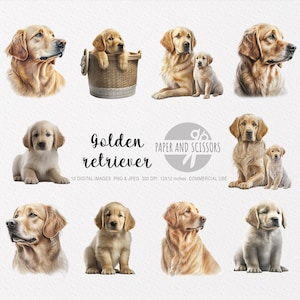 Golden Retriever Clipart, Golden Retriever PNG, Golden Retriever illustratie, Hond Clipart, Transparante achtergrond, Instant download, 12x12