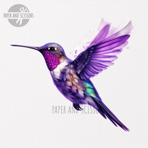 May include: A purple hummingbird with a pink throat and green tail feathers is in flight with its wings spread wide. The background is a watercolor wash of white and light purple.