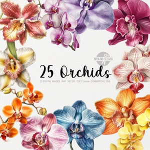 25 ClipArt orchidea, PNG orchidea, Illustrazione orchidea, Fiori ad acquerello, PNG floreale, ClipArt fiori, Fiori PNG, Orchidea rosa, Orchidea bianca