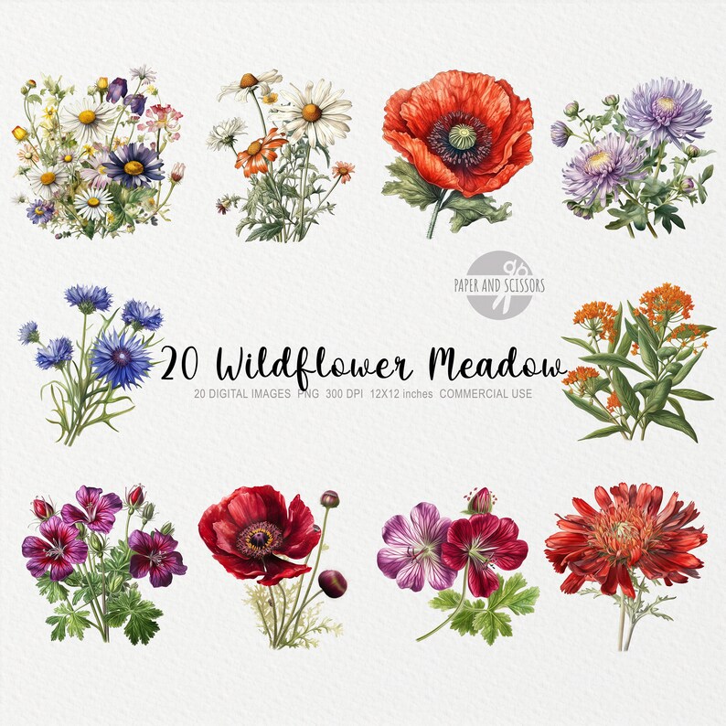 May include: 20 digital images of watercolor wildflowers, including daisies, poppies, cornflowers, and more. Each image is 12x12 inches and 300 DPI.