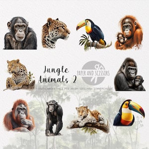 Jungle Animals Clipart, Jungle Animals PNG, Animals illustration, Animals Clipart, Transparent background, Instant download, Wall Art, 12x12