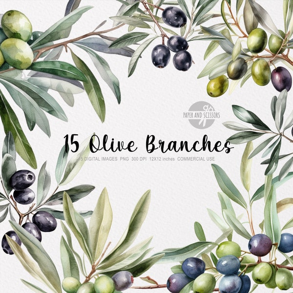 15 Olive Branches, Olive Branches PNG, Olive Branches illustration, Watercolor Olives, Olives ClipArt, Branches PNG, Black and green olives