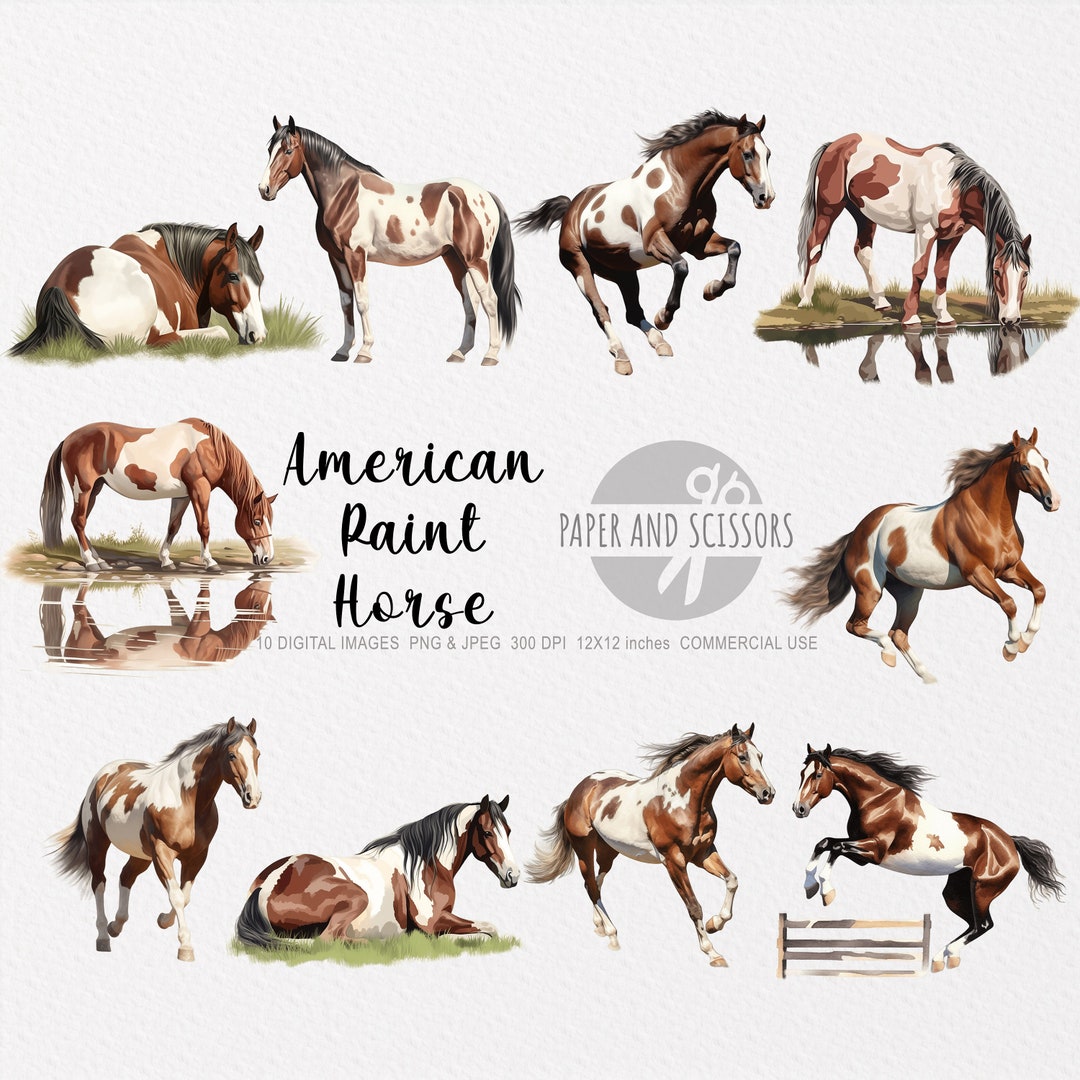 American Paint Horse Clipart, American Paint Horse PNG, Horse