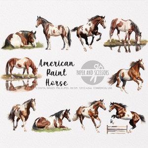 American Paint Horse Clipart, American Paint Horse PNG, Pferd Illustration, Pferd Aquarell, Pferd Wandkunst, Wand-Dekor, Tier Clipart