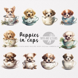 Puppies in Cups Clipart, Puppies PNG, Puppies illustration, Dog Clipart, Dog PNG, Dog Watercolor, Dog Wall Art, Dog lover, Funny Dog, Cute