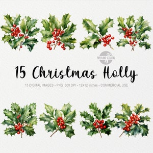 15 ClipArt de azevinho de Natal, PNG de azevinho, ilustração de azevinho em aquarela, pacote de Natal, clipart de inverno, clipart de férias, flor de Natal