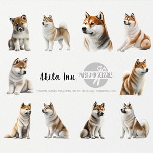 Akita Inu Clipart, Akita Inu PNG, Hond illustratie, Puppy Clipart, Transparante achtergrond, Instant download, Digitale kunst, Wall Art 12x12