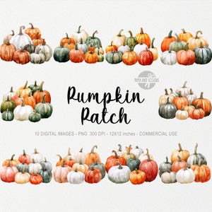 May include: Watercolor digital images of pumpkins in various colors, including orange, white, green, and gray. The text "Pumpkin Patch" is displayed in a handwritten font. The image also includes the text "10 Digital Images - PNG 300 DPI - 12x12 inches - Commercial Use."