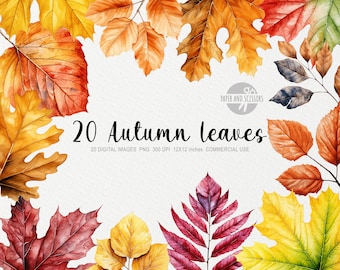 Aquarel herfstbladeren clipart, herfstblad PNG, herfst aquarel, herfstdecoratie, Thanksgiving PNG, bladeren PNG, bladeren clipart, herfstbloem