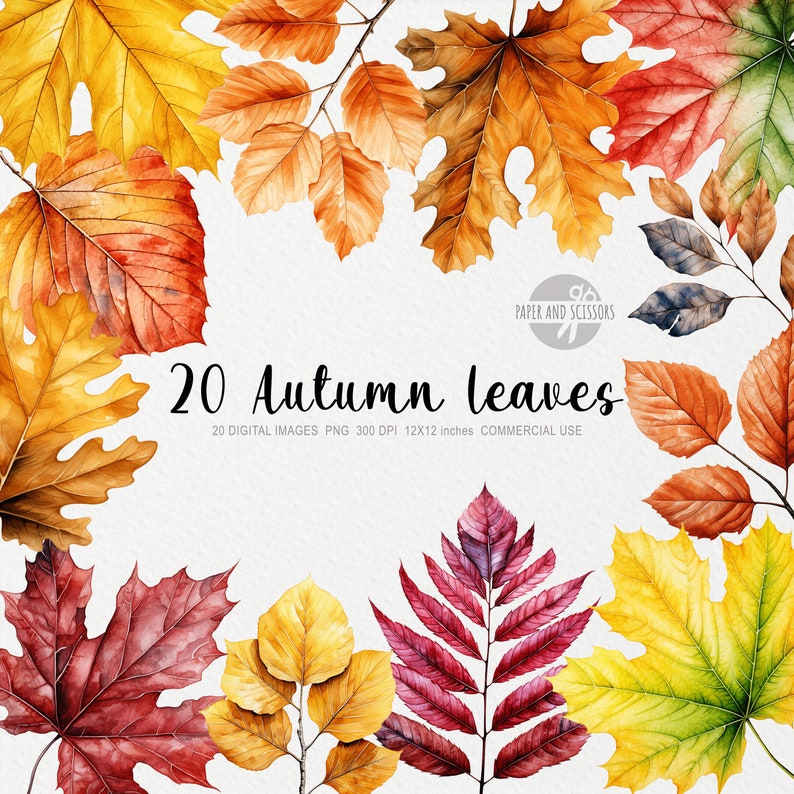 May include: A set of 20 digital watercolor illustrations of autumn leaves in various shades of red, orange, yellow, and brown. The leaves are arranged in a circular pattern around the text "20 Autumn Leaves".