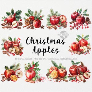 10 kerstappels en specerijen ClipArt, kerstkaneel png, aquarel kerstappels, aquarelkruiden, kerstsfeer, gezellige kunst, gember
