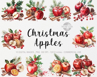 10 kerstappels en specerijen ClipArt, kerstkaneel png, aquarel kerstappels, aquarelkruiden, kerstsfeer, gezellige kunst, gember