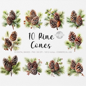 10 ClipArt di pigne di Natale, pigne di Natale dell'acquerello PNG, albero di pino PNG, albero di Natale, decorazioni natalizie, verde, PNG di Natale